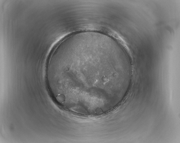 X0000116030012200912041944