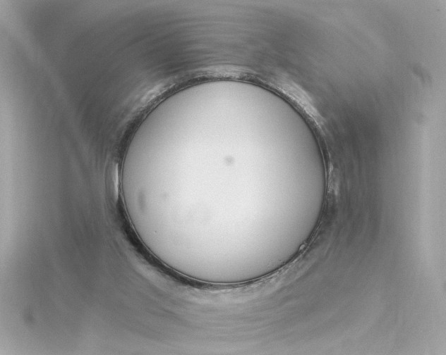 X0000116030013200912041944