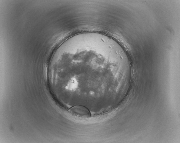 X0000116030014200912041944