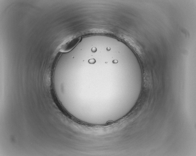 X0000116030015200912041944