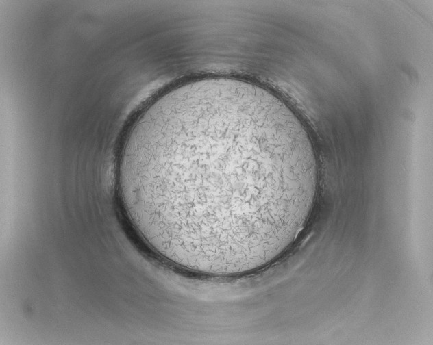 X0000116030016200912041944