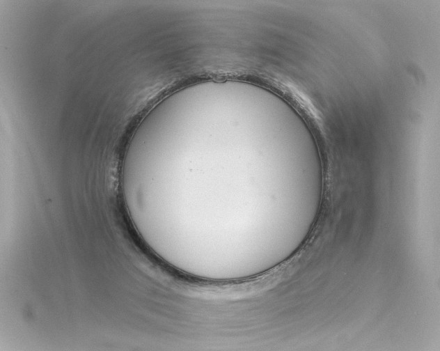 X0000116030017200912041944