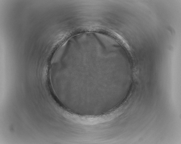 X0000116030018200912041944