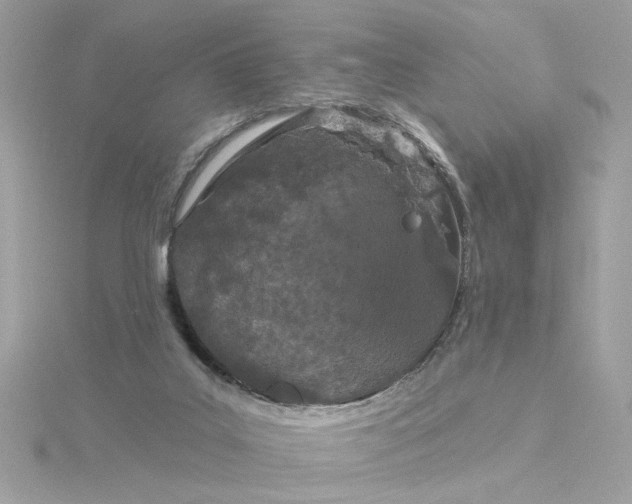 X0000116030019200912041944