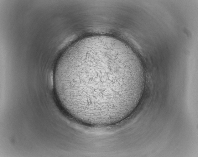 X0000116030020200912041944