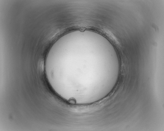 X0000116030021200912041944