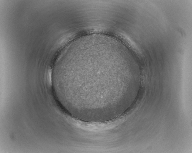 X0000116030022200912041944