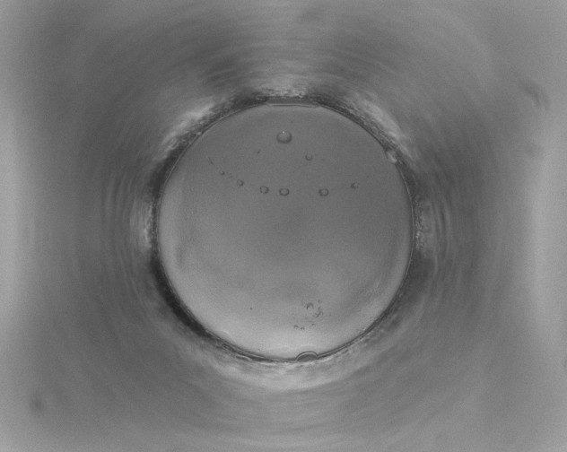 X0000116030023200912041944