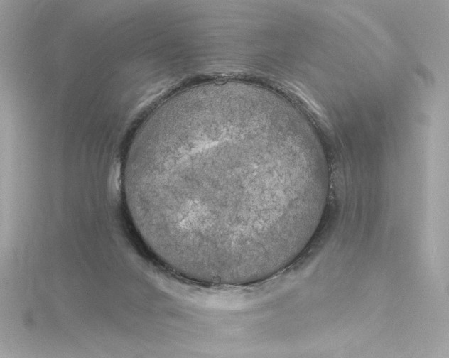 X0000116030024200912041944