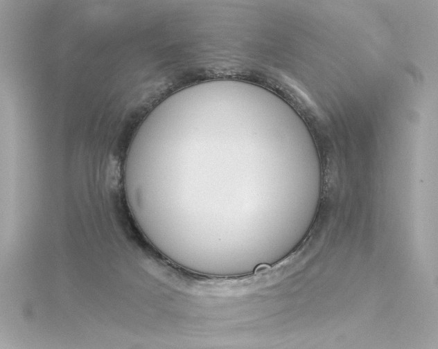 X0000116030025200912041944