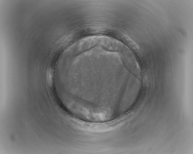 X0000116030026200912041944