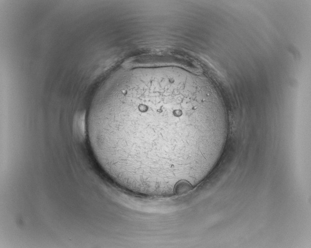 X0000116030028200912041944