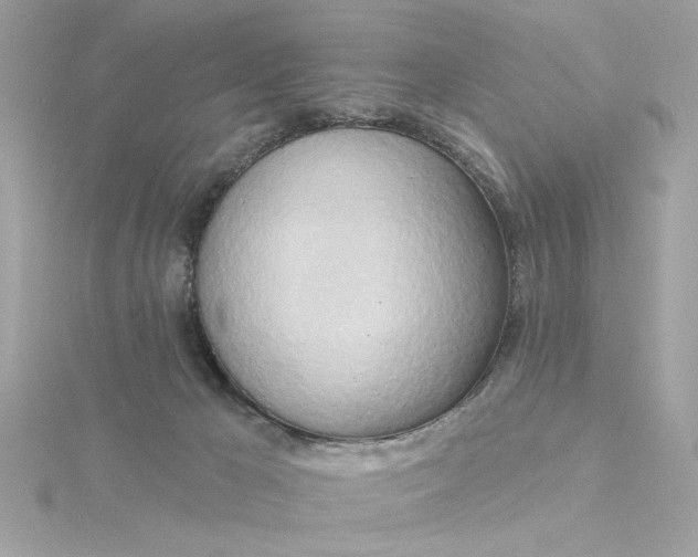 X0000116030029200912041944