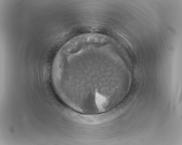 X0000116030030200912041944