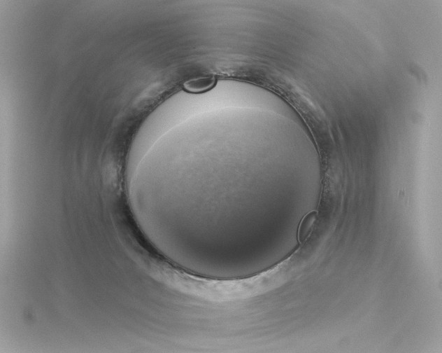 X0000116030031200912041944