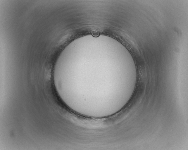 X0000116030032200912041944