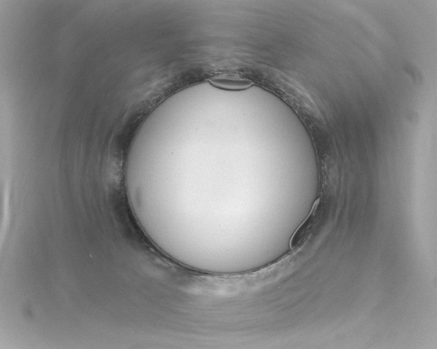 X0000116030033200912041944