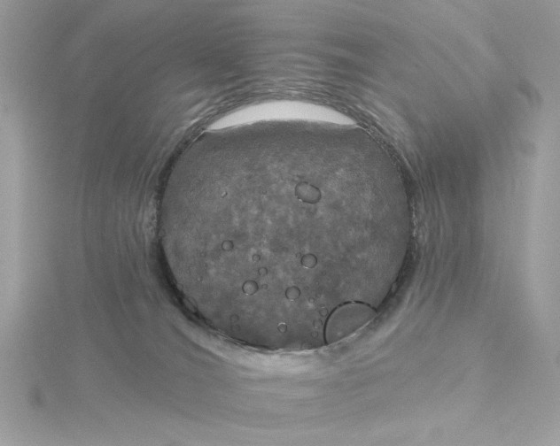 X0000116030036200912041944