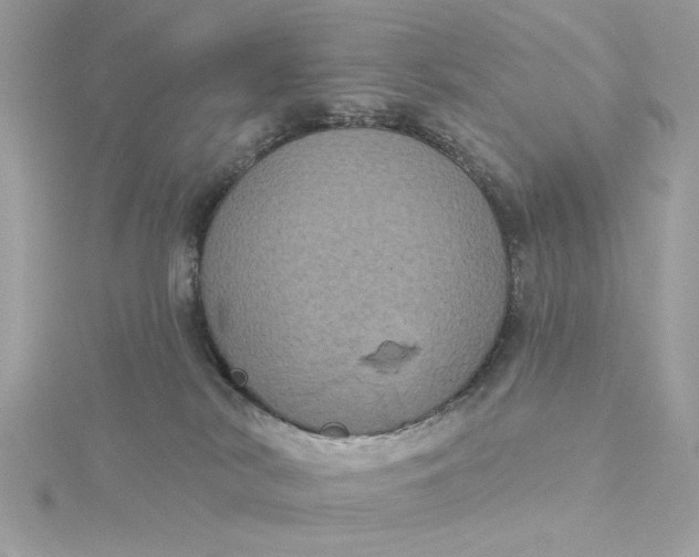 X0000116030038200912041944