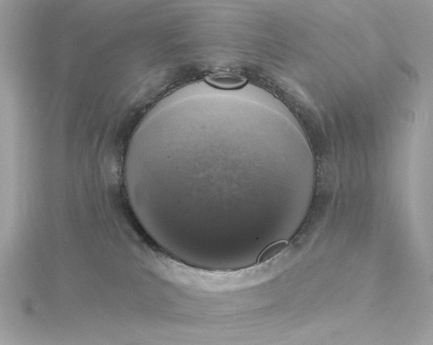 X0000116030039200912041944