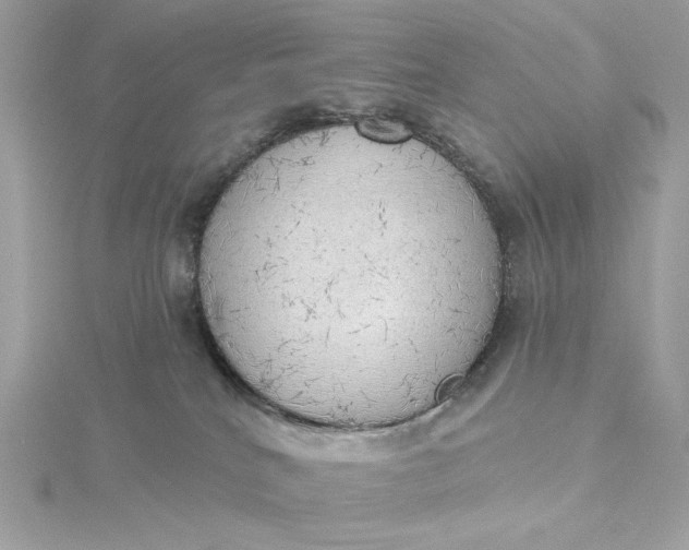 X0000116030040200912041944