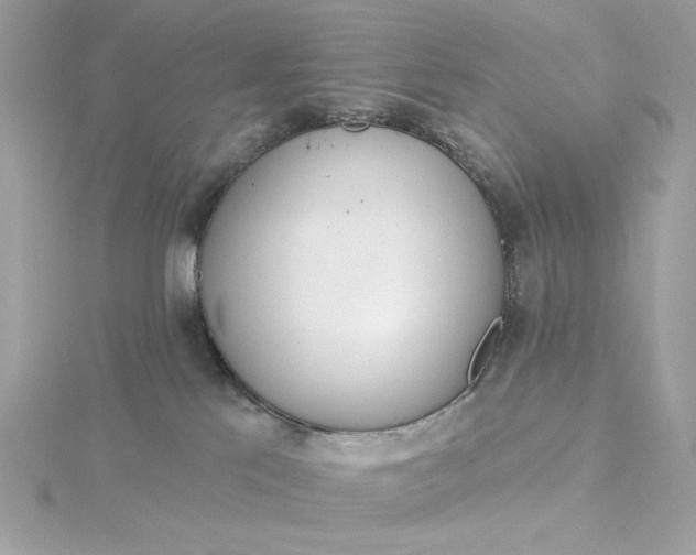 X0000116030041200912041944