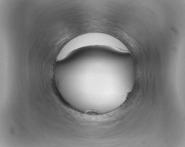 X0000116030043200912041944