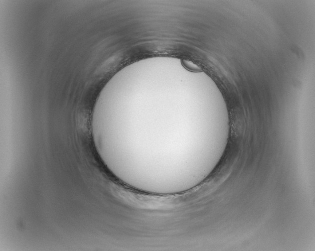 X0000116030044200912041944