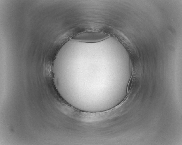 X0000116030045200912041944