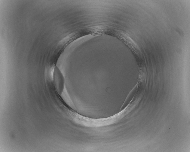 X0000116030047200912041944