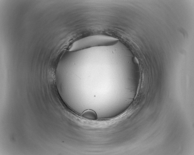 X0000116030048200912041944