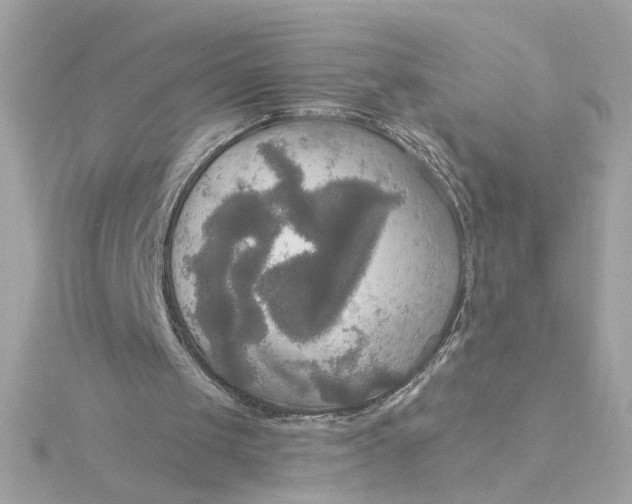 X0000116030049200912041943