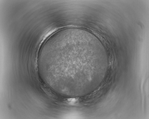 X0000116030050200912041943