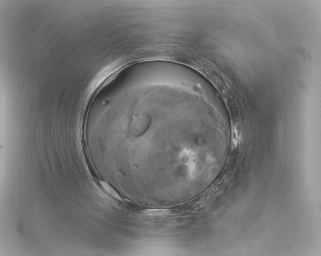 X0000116030051200912041943