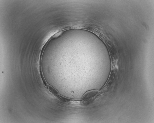 X0000116030052200912041943