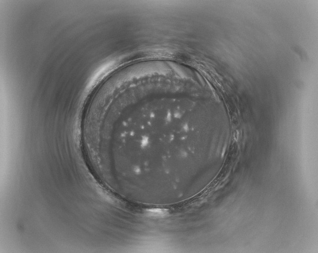 X0000116030053200912041943