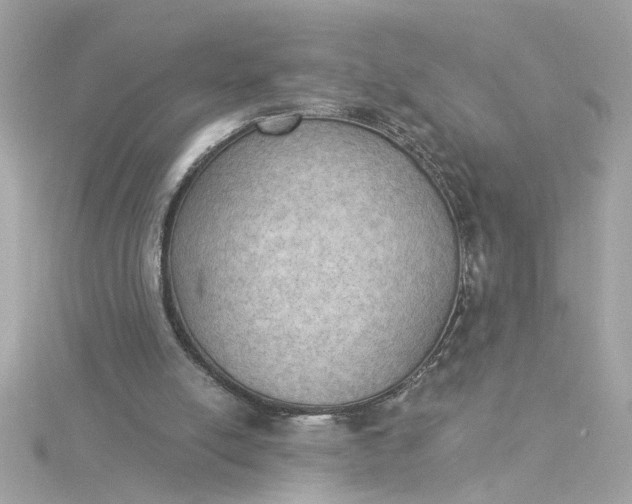 X0000116030054200912041943