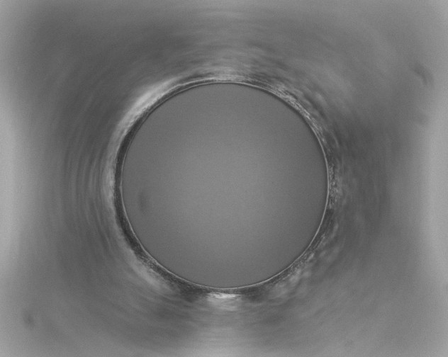 X0000116030055200912041943