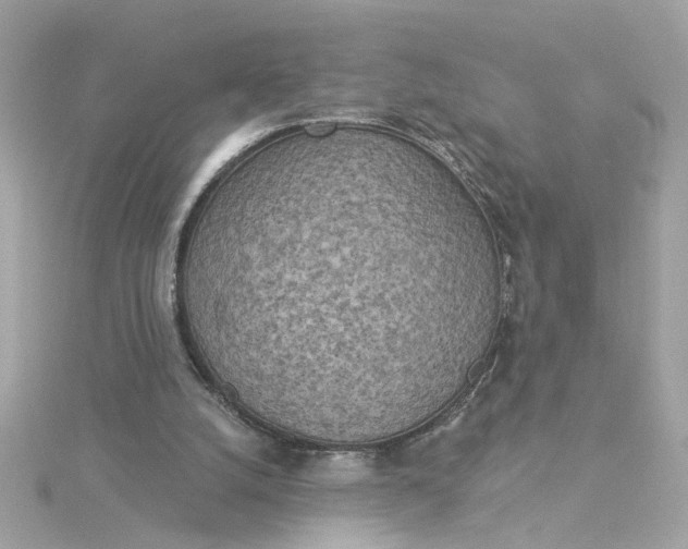 X0000116030056200912041943