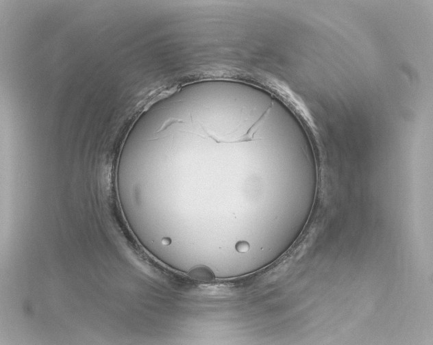 X0000116030057200912041943