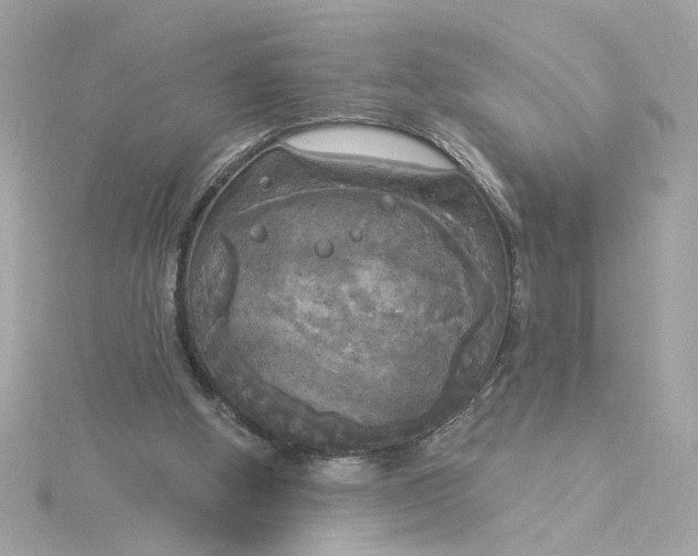 X0000116030058200912041943