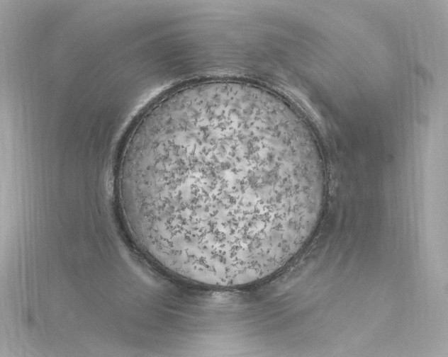 X0000116030060200912041943