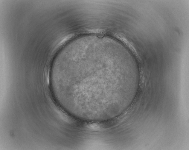 X0000116030062200912041943