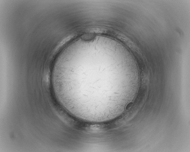 X0000116030064200912041943