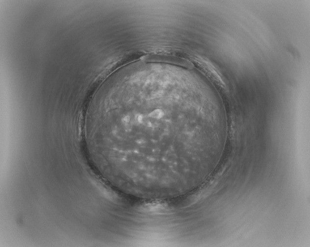 X0000116030065200912041943