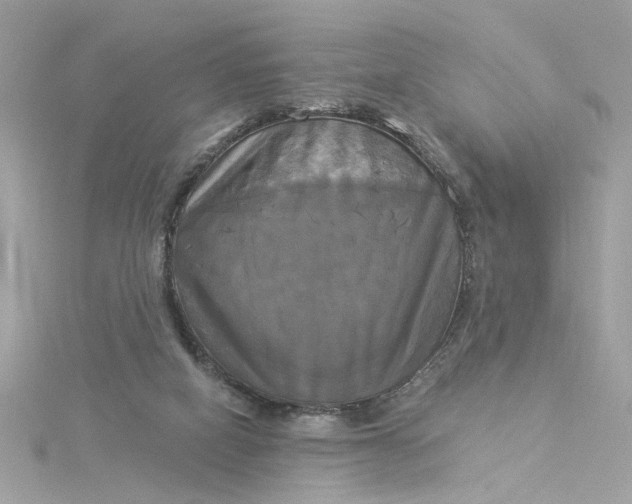 X0000116030066200912041943