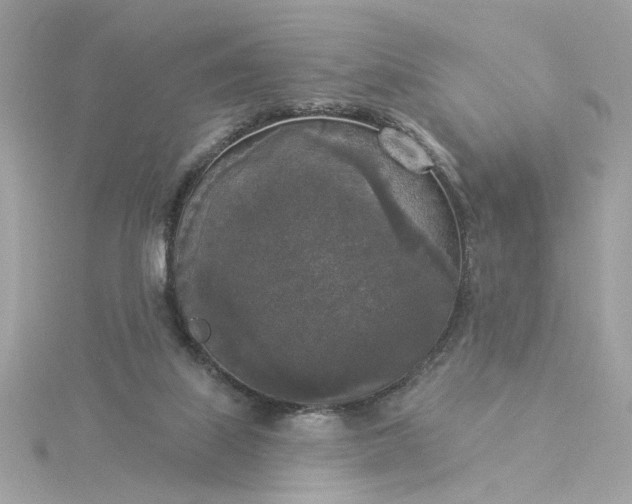 X0000116030067200912041943