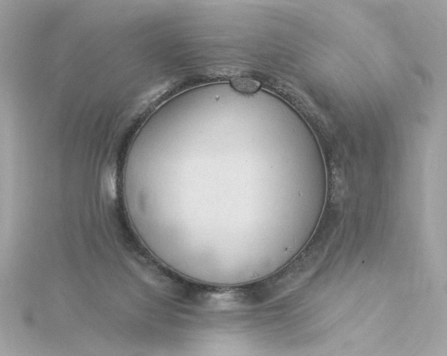 X0000116030068200912041943