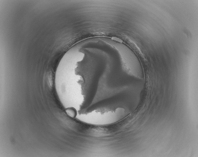 X0000116030069200912041943