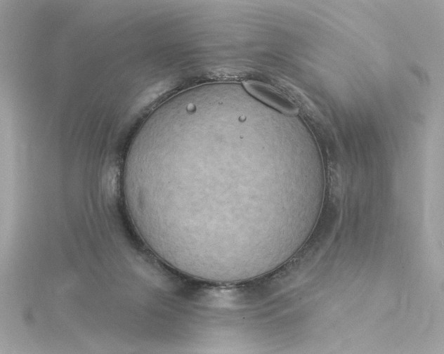 X0000116030071200912041943